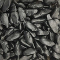 Souris noire